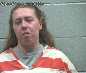 Mugshot of HEIDI LYNN KELLEY