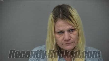 Booking photo from Delaware County, Ohio