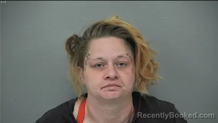 Mugshot of DANIELLE LOREN JINKS