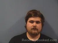 Mugshot of Robert William Blevins Jr