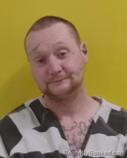 Mugshot of WALTER SHANE YOUNG