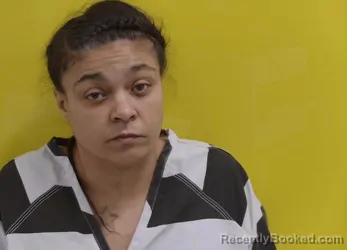 Mugshot of MEGAN L SWAIM