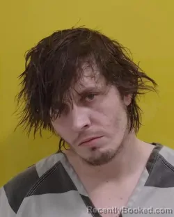 Mugshot of NICHOLAS A DEVOL