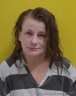 Mugshot of ERICA MAE ROOT
