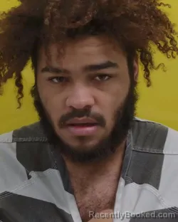 Booking photo from Fairfield County, Ohio