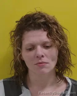 Mugshot of SAVANNAH LEIGH SPANIOL