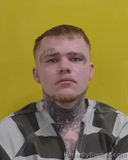 Mugshot of STEPHEN DEAN WATSON