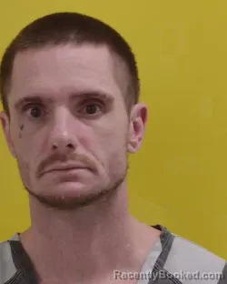 Mugshot of PATRICK ROBERT COLLINS