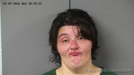 Mugshot of MERCEDES D WILLIAMS