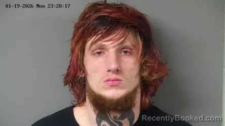 Mugshot of JARRED SHANE WILLIAMS