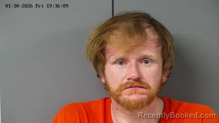 Mugshot of BRYAN VIRGIN