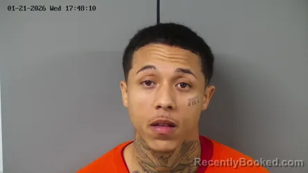 Mugshot of CALEB REESE LEE