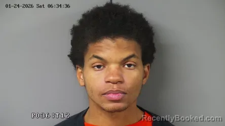 Booking photo from Fayette County, Ohio