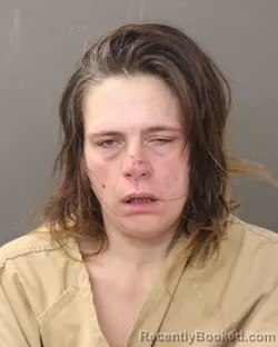 Mugshot of ROSE ANN NICOLE DINGESS
