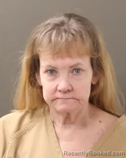 Mugshot of TAMARA A HEISE