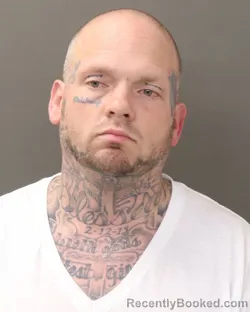 Mugshot of BRANDON SCHLUEB