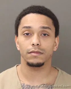 Mugshot of AMER MOHAMMAD AL-MAHMOUD