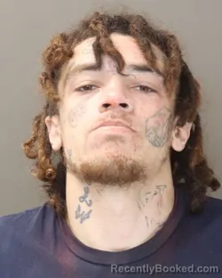 Mugshot of DEVON LEWIS FABRO BRYANT