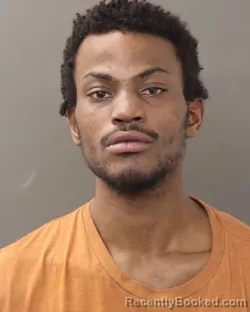 Mugshot of SEDAN DEVILLE FULKS