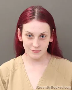 Mugshot of TIERRA N TAYLOR