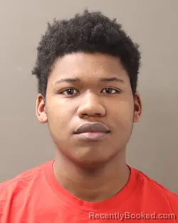 Mugshot of DAVEION DESHAWN LANDRY