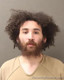 Mugshot of NOAH DONOVAN LANGDON