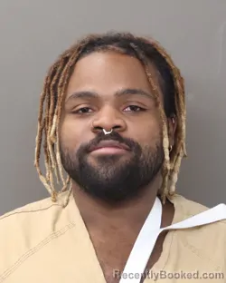 Mugshot of JAMES WHITE