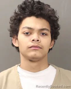 Booking photo from Franklin County, Ohio