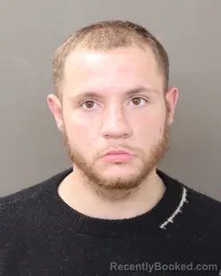 Mugshot of RANDELL CHASE MEDLIN