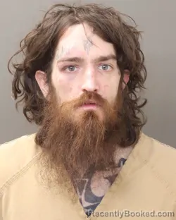 Booking photo from Franklin County, Ohio