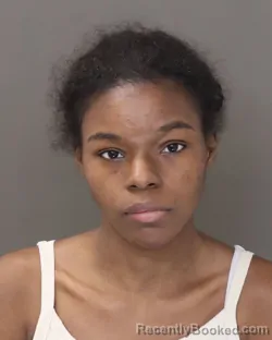 Mugshot of JANEA LANAE CLARK REEVES