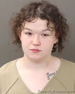 Mugshot of MADISON SCHLATER