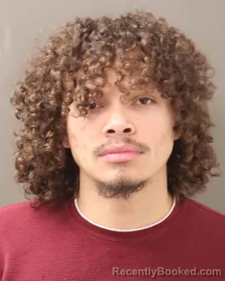 Booking photo from Franklin County, Ohio