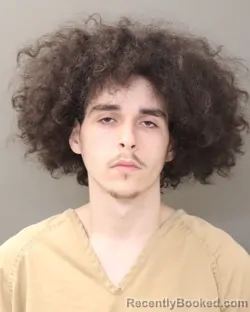 Booking photo from Franklin County, Ohio