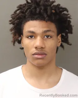 Mugshot of GAGE X ADKINS