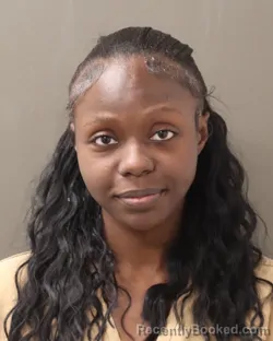 Mugshot of ARIANNA TIDIAN MCMILLAN