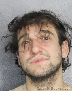 Mugshot of MICHAEL R UWANAWICH