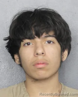 Booking photo from Broward County, Florida