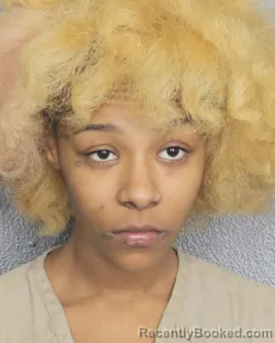 Booking photo from Broward County, Florida