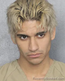 Mugshot of ALEXANDER DILLAN BARDALLO