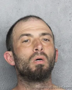 Mugshot of JAMES MICHAEL RYAN