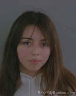 Mugshot of KARLA MARIANA MENDOZA