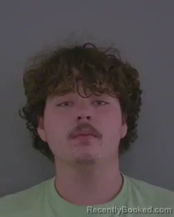 Mugshot of ALEX ROBERT LOWE