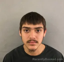 Mugshot of MARIO R RANGEL