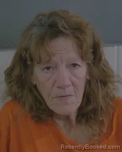 Mugshot of NANCY KAY CUNNINGHAM