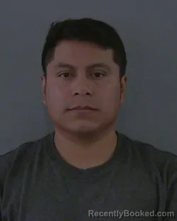 Mugshot of LUIS GUSTAVO CAAL-POP