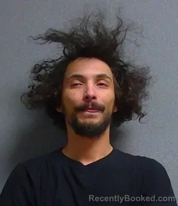 Mugshot of PAUL OWENS