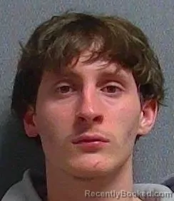 Mugshot of IAN LEASURE