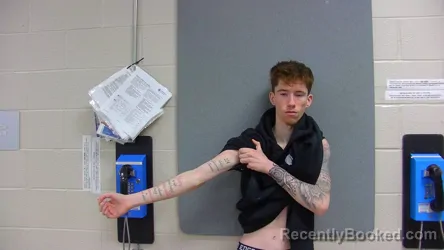 Mugshot of AAIDAN GULOSH