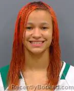 Mugshot of LYZANDRA MILAGROS PEREZ